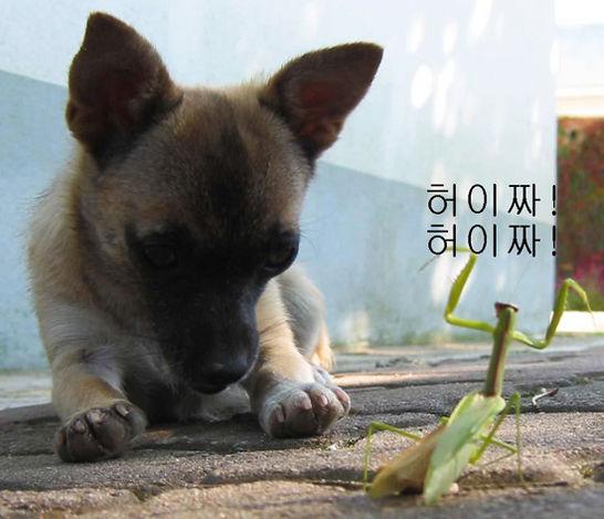 사용자 삽입 이미지